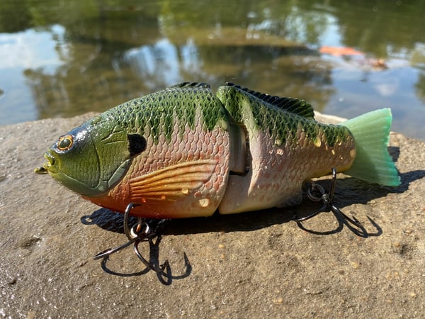 Image of 6” Ann Xslowsink (Burugiru III)