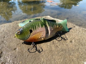 Image of 6” Ann Xslowsink (Burugiru III)