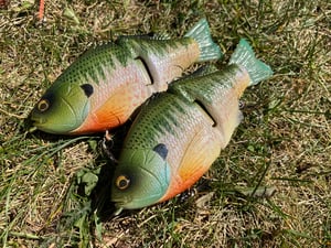 Image of 6” Ann Xslowsink (Burugiru III)