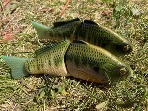 Image of 6” Ann Xslowsink (Burugiru III)