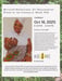 Image of Mirrored Reflections: Curated Gallery Tour & Book Launch (10/10 - 10/19)