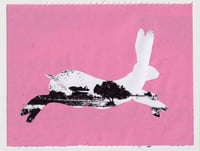 Image 3 of green.blue.pink.yellow