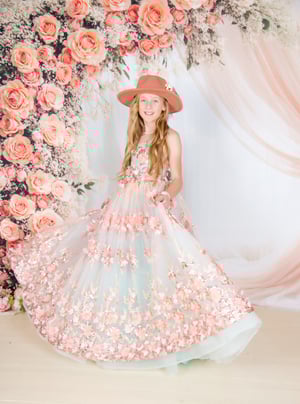 Image of Little Dreamers Session - Size 8 Pink Gown