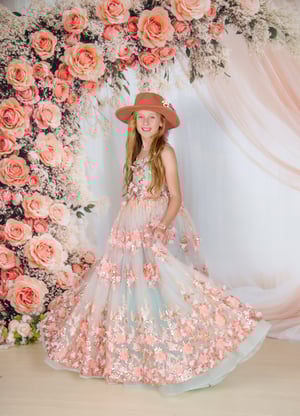 Image of Little Dreamers Session - Size 8 Pink Gown