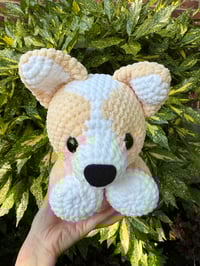 Image 1 of CORGI