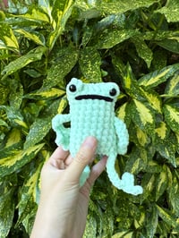 Image 4 of LEGGY FROG