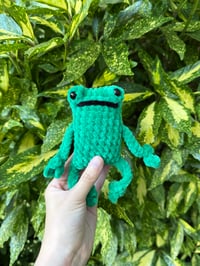 Image 3 of LEGGY FROG