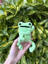 Image 5 of LEGGY FROG