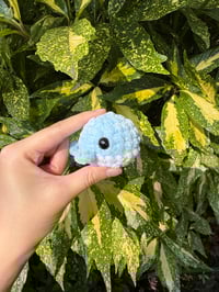 Image 1 of MINI WHALE
