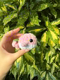 Image 3 of MINI WHALE