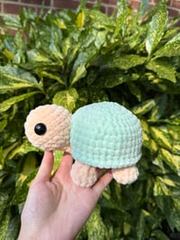 TURTLE