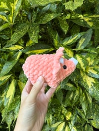Image 2 of TRICERATOPS