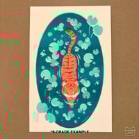 Image 3 of lily pond [riso print]