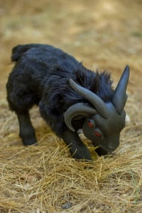 Image 8 of PREORDER - Baby Akerbeltz - Poseable Art-doll