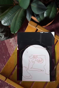 Image 1 of J'ai cru voir un gros minet !