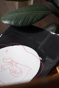 Image 3 of J'ai cru voir un gros minet !