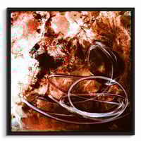 Image 1 of PRIMAL INSTINCT