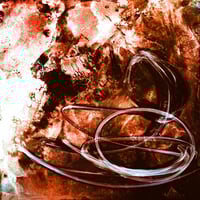 Image 2 of PRIMAL INSTINCT