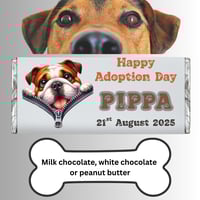 100g Personalised Chocolate Bar For Dogs - Adoption Day 1