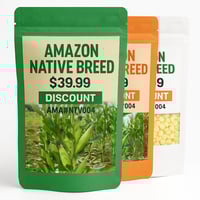 Image 1 of Amazon Native Breed Corn Seeds