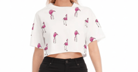 Flamingo Crop Top