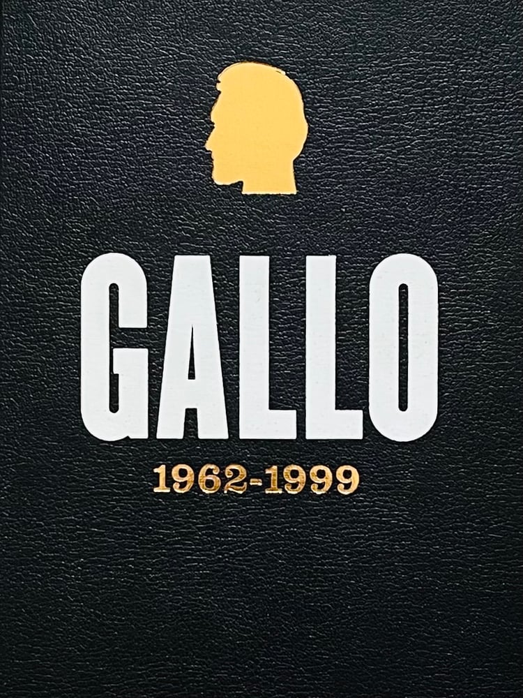 Image of (Vincent Gallo) (Gallo 1962-1999)