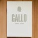 Image of (Vincent Gallo) (Gallo 1962-1999)