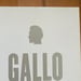 Image of (Vincent Gallo) (Gallo 1962-1999)