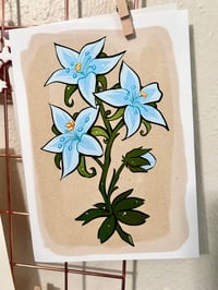 Image 1 of BOTW 5"x7" Silent Princess Print