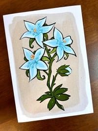 Image 2 of BOTW 5"x7" Silent Princess Print