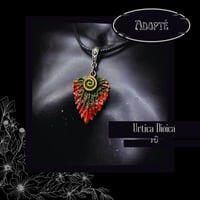 Image 13 of ☽ Urtica Dioica ☾