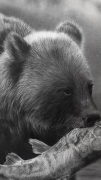 Image 6 of 18x24 ORIGINAL ART “ Catch of the day” 2022