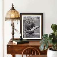 Image 8 of  Giclee print “Catch of the day”  2022