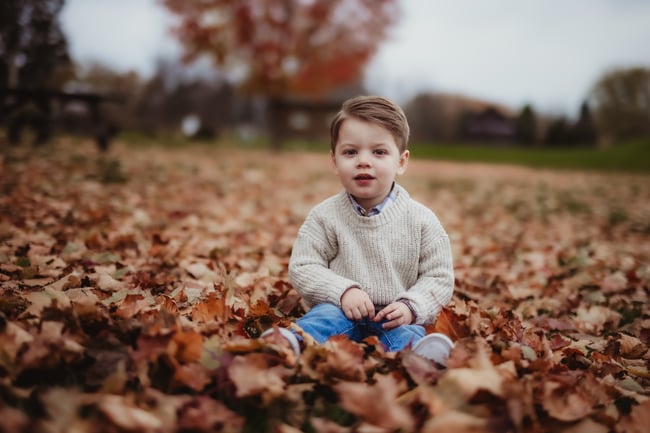 LATE Fall Minis 2025