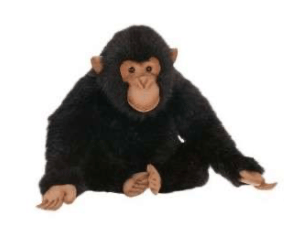 Image of 18" Chimpanzee