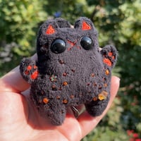 Image 1 of Black Kitty with Orange Details