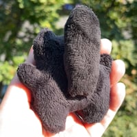 Image 2 of B-GRADE Black Kitty with Purple Details