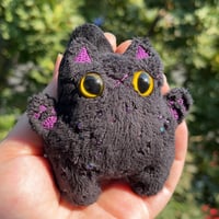 Image 1 of B-GRADE Black Kitty with Purple Details