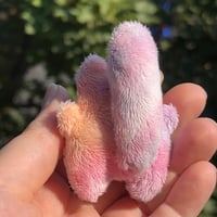 Image 3 of Gradient Rainbow Kitty Plushies