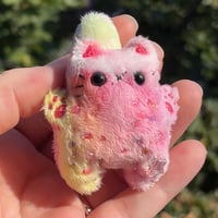 Image 4 of Gradient Rainbow Kitty Plushies