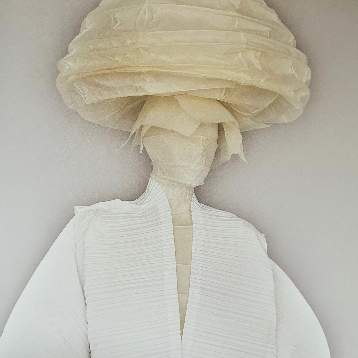 IMG_8820.jpeg?auto=format&fit=