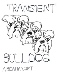 Transient Bulldog by A Beaumont