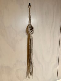 Image 1 of Air Plant Pod Hanger - Light Beige