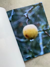 Image 2 of Brigham Baker - Only Apples