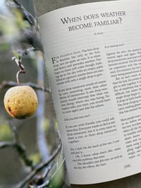 Image 6 of Brigham Baker - Only Apples