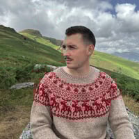 Image 11 of Winter Pines