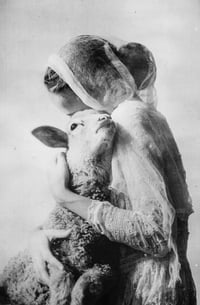 (yumi)(no)(MONOGURUI)(ii): (PRINCESS UNRULY HAIR)