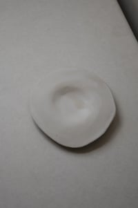 Image 2 of assiette / laiteuse 