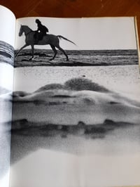 Image 8 of SAM HASKINS - NOVEMBER GIRL (1967)