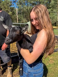 Image 4 of Paint with Alpacas Saturday 18th October 12pm at Gumnut Valley Alpacas